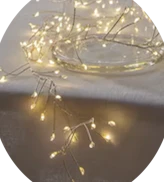 String lights