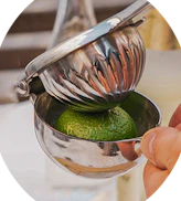 Citrus squeezers